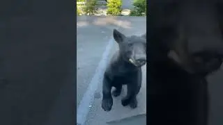 Всем салам!