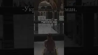 амина