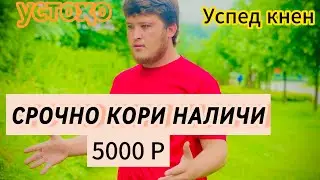 СРОЧНО КОРИ НАЛИЧИ УСПЕД КНЕН УСТОҲО