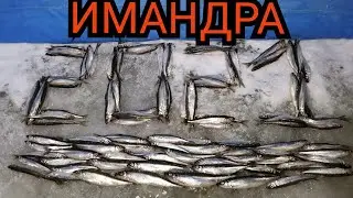 #АКТИВНЫЙ