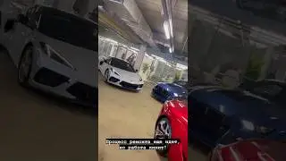 Автосалонный адреналин: Встречайте мечты на колесах!