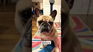 Editing old photos with Pixel 7 pro 