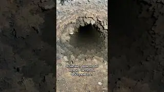 Взрываем петарды в дымоходе 