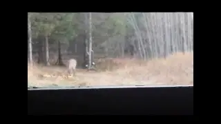 2015 Michigan Deer Rifle Season