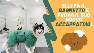 Elli barboncina ed il bagnetto!🐾🛁🐾