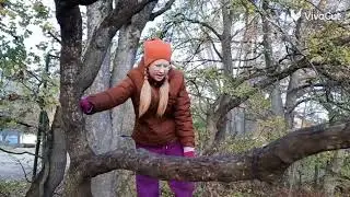 Тайный вход | Белка летяга