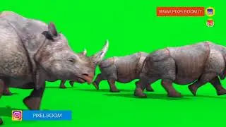 50 Free Green Screen Effects royalty free animation - PixelBoomCG
