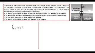 PRUEBAS  ICFES