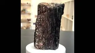 Black Tourmaline & Gold Mica - 218
