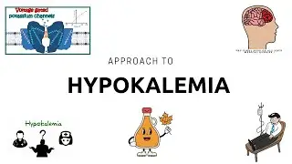 Hypokalemia - Causes, Symptoms, Diagnosis, and Treatment |Potassium disturbances | MEDICOGYAAN