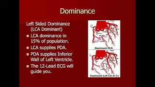 12-Lead EKG Anatomy - Did You Know This?