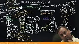 Sexual reproduction of flowering plants | Lecture -14 Class - NEET TARGET Hindi