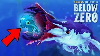 *NEW* Creature SEAMONKEY BABY! || Subnautica Below Zero