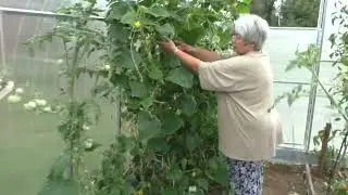 В гостях у Фила Романова. Август 2024