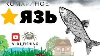 Трофейный язь на озере комариное рр4
