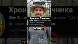 Самая простая и эффективная подкормка винограда 
