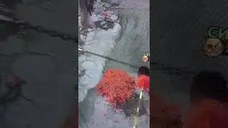 Кто любит пуджа + В ЧАЙ👇