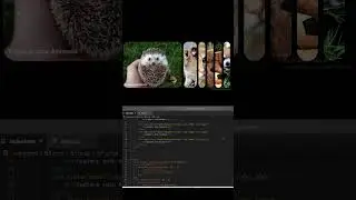 expanding Image Gallery using HTML css and javascript #html #shorts