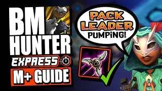 11.2.5 BM Hunter M+ Guide | Pack Leader | TWW Season 3 | Talents, Rotations, Gear and More!