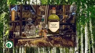 215 Дёготь – лекарство от ста болезней