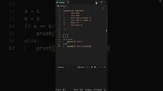 Python Roadmap Lesson 8 - Selection - If Statements 