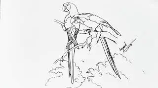 Parrot Drawing/How To Draw Parrot Step By Step Pencil Drawing Tutorial