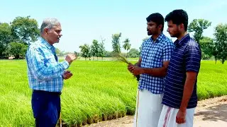 M Velaanmai Drama
