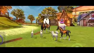 Breeding Video | Horse Riding Tales