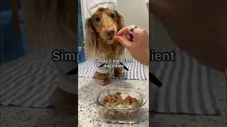 Simple 3 ingredient dog treats😋 #dogtreats #homemade #recipe #dachshund #dog