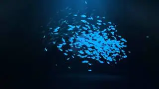 School Of Fish Logo Reveal | After Efects Project Files
