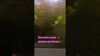 Обстановка в Сентябре #shortvideo #shorts #осень2023 #сентябрь2023 #настроениесупер @абвгад #абвгад
