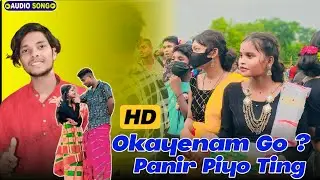 Oka Yenam Go Paner Piyo Ting | Jr Ram Mandi | New Santali Program Video 2024 | Rohini program