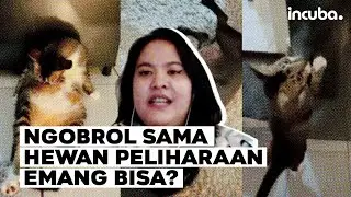 Bekal Naluri, Bantu Anabul Tahu Isi Hati ft. Dodo Animal Communicator