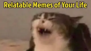 Relatable Memes of your Life