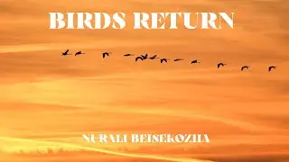 NURALI - BIRDS RETURN (original)