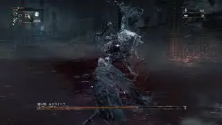 Witch of Salvation vs Ludwig the Holy Blade (Bow Only, base Vitality)
