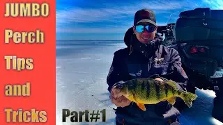 Ice Fishing for JUMBO Perch