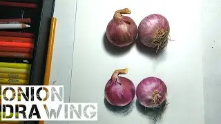 Onion Drawing || Realistic Onion || #art #tutorial #drawing