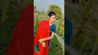 लाल दुपट्टा उड़ गया मेरे हवा में