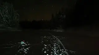 ОДНИ НОЧЬЮ НА РЕКЕ. СТАВИМ ЖЕРЛИЦЫ. ЛЮТЫЙ ВОВА #рыбалка #приключения #жерлицы