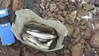 КАК  МЫ ДОБИРАЛИСЬ НА РЫБАЛКУ