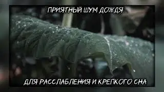 Приятный шумдождя для расслабления и крепкогосна. #музыкадлядуши #релакс #сон  #дождь #расслабление
