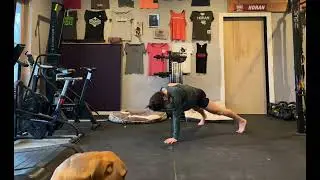 Single Arm Plank Hold