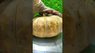 pumpkin cutting hack easy trick #pumpkin #cuttingskills #fruitcutting #vegan #vegetables #foodshorts