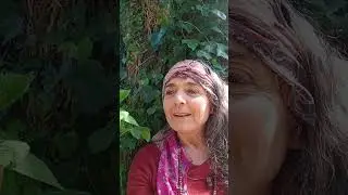 STORIE DI COMUNICAZIONI SINCRONICHE CON L'ALDILA