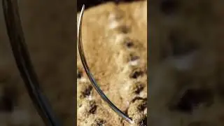 Французька революція