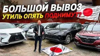 Авто из Японии большой вывоз❗️Утиль опять поднимут❓