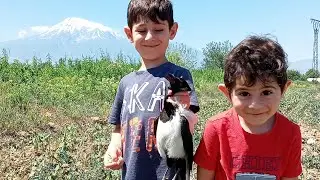 Тестирую штампованную дробь промтех