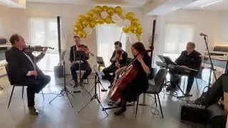 Queen's Chamber - Live String Quartet at Ravenlok Launch Tea Party