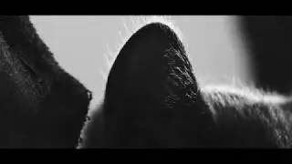 KEEP YOU SAFE - Part 1 - Short Film